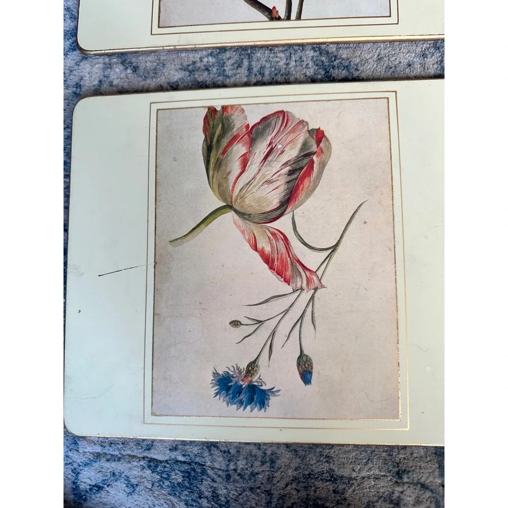Lady Clare Placemats Set of 4 Vintage Botanical Floral Made in England Gold Edge
